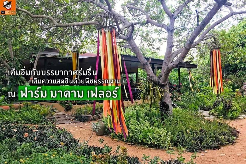 Homestay Farm Madame Fleur *